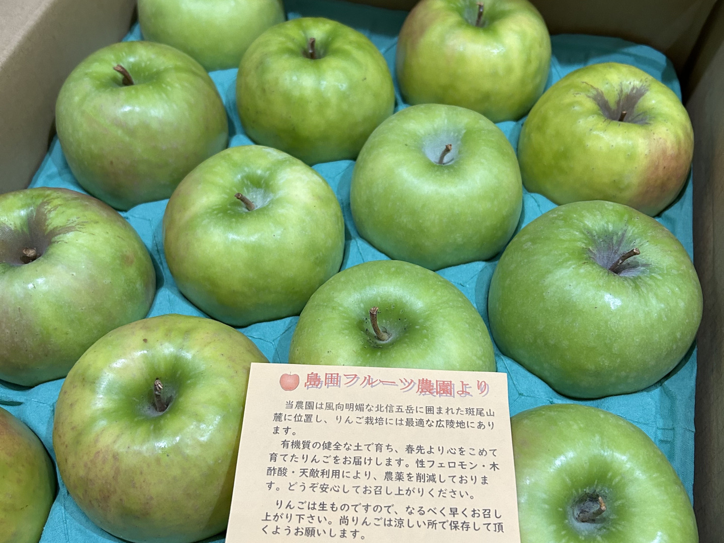 【在庫一掃】 c6055ab52257f994e9dbc849712d81 その他