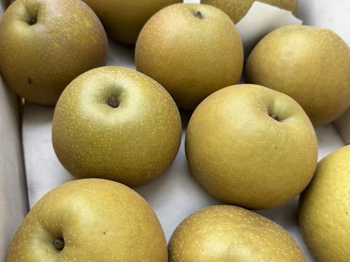 ⚠️tetemano⚠️茨城県産　梨/甘ひびき　5キロ/　秀品⭐︎希少品種 稀少品種 栃木県産 甘太 5キロ：栃木県産の甘太｜食べチョク｜産地