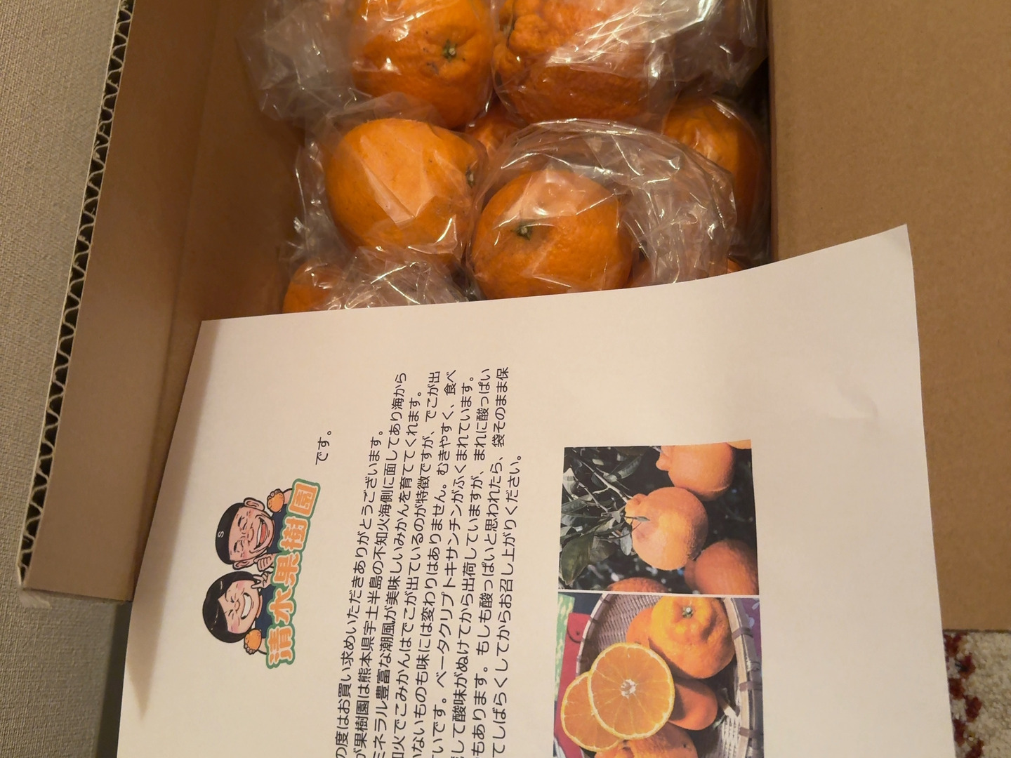 熊本発祥の不知火デコみかん むきやすくとても甘く美味しいみかんです🍊 Ｌから3L玉が入ります。約4.5k前後：熊本県産のみかん・柑橘類｜食べチョク｜産地直送(産直)お取り寄せ通販  - 農家・漁師から旬の食材を直送
