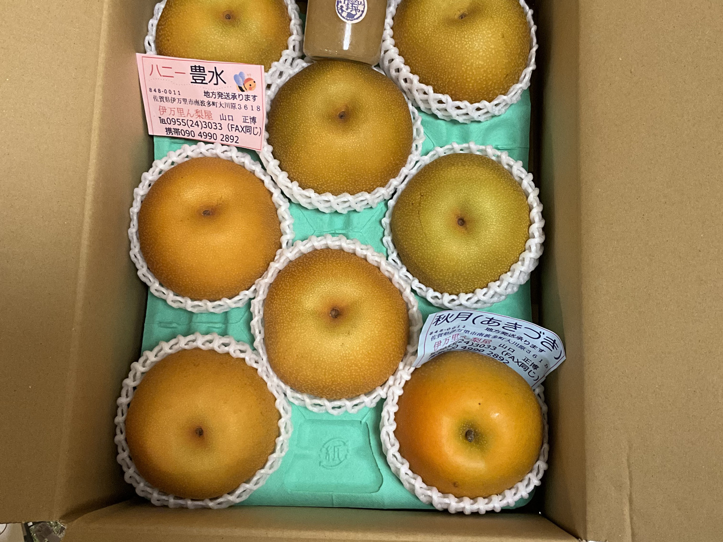 ハニー豊水🍐梨、3キロダンボール箱🍐5～8玉入り：佐賀県産の豊水