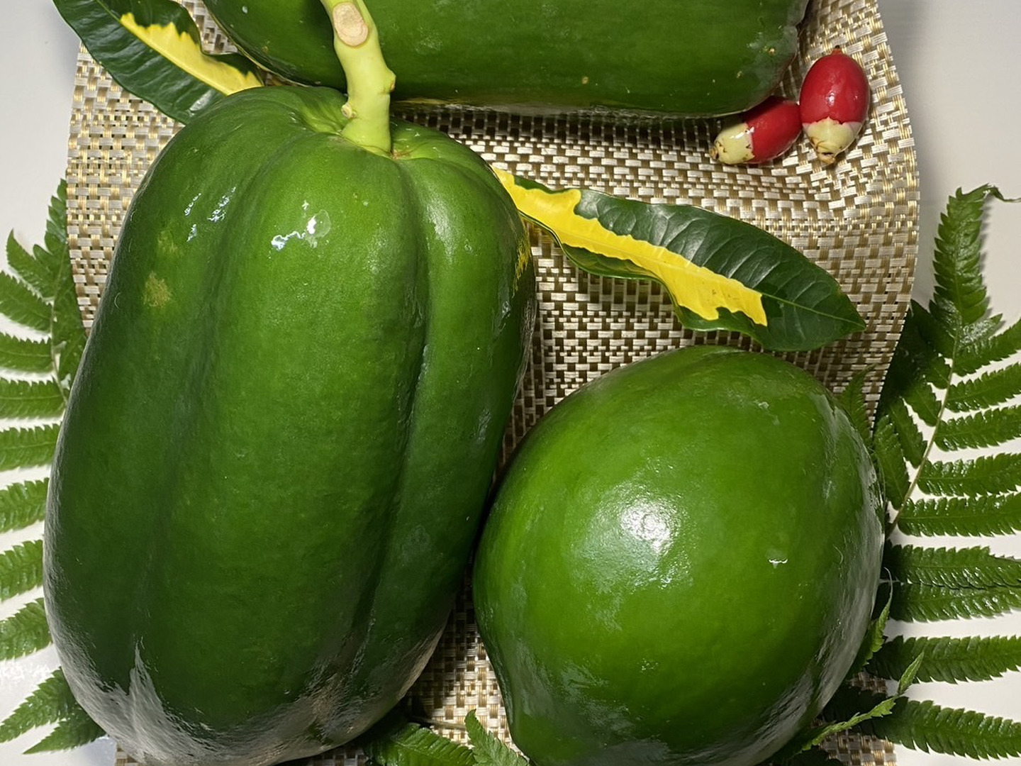 上品なブランド 宮古島産 青パパイヤ 3kg. 大小 3 〜 4個：沖縄県産の品種 野菜