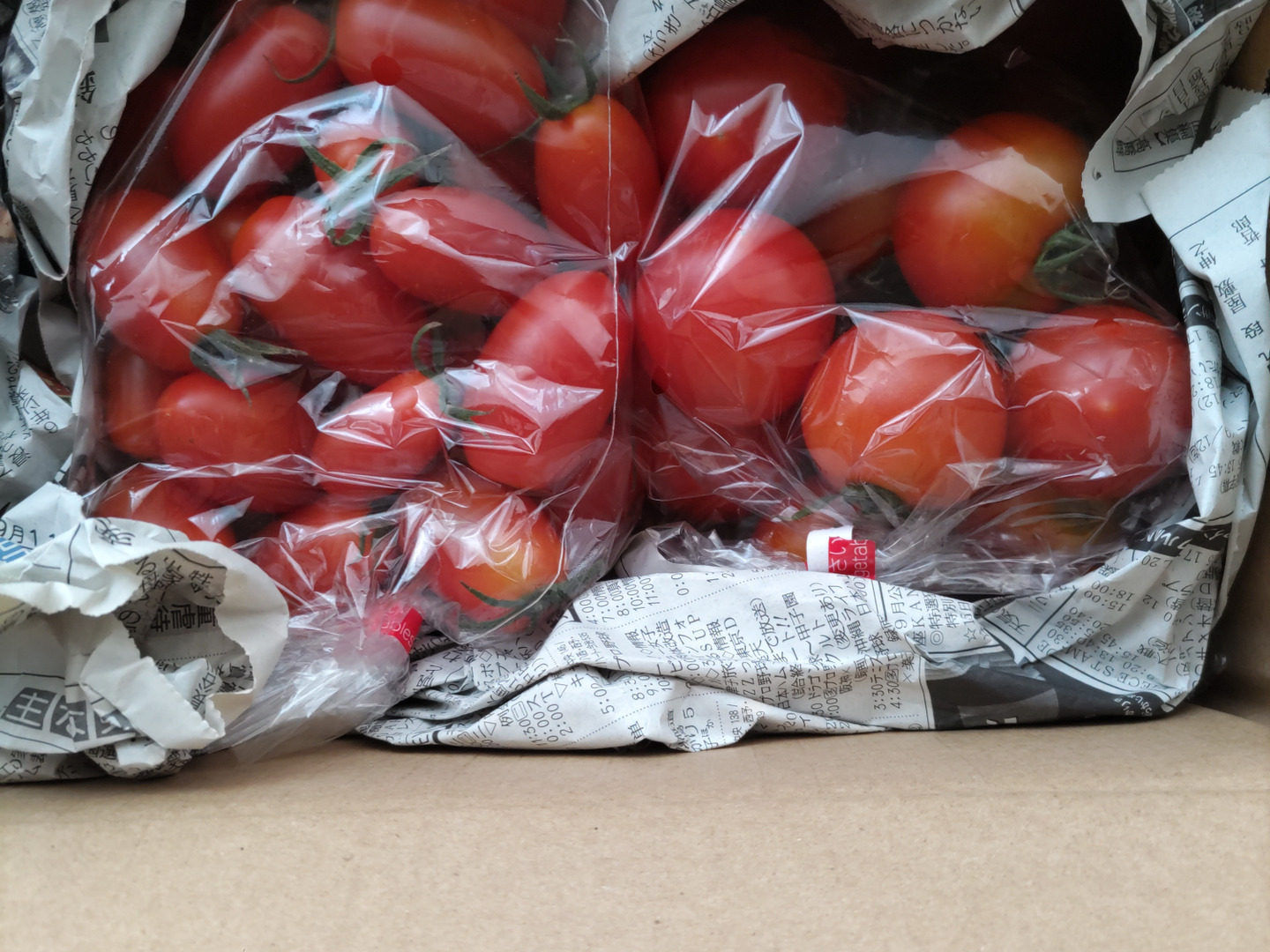 まずはコレ🍅】アイコ＆フルティカのはじめてセット（500g×2種
