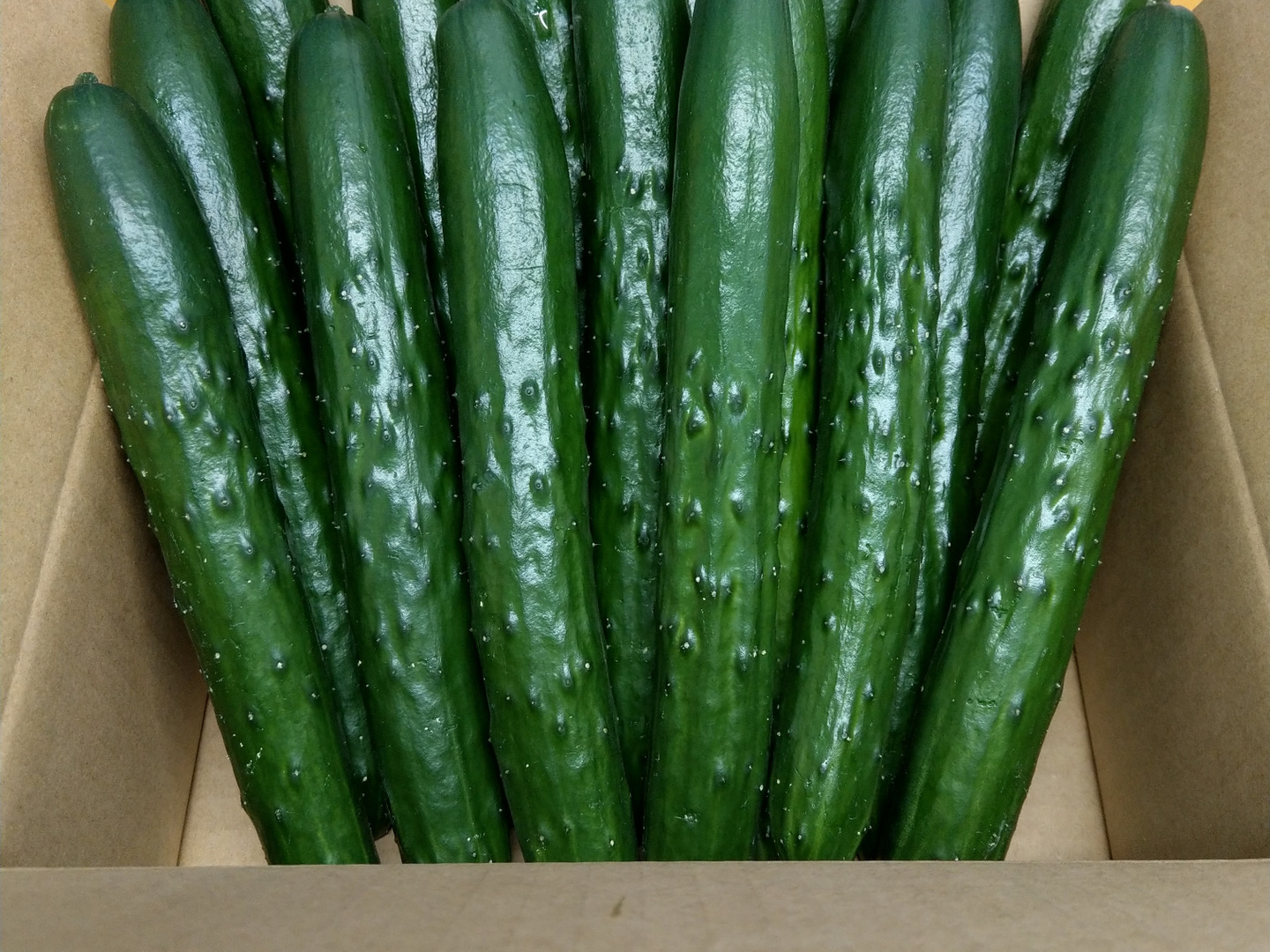 【正規品直輸入】 cb6d6edecd3102b9c9c907eafcd271 野菜