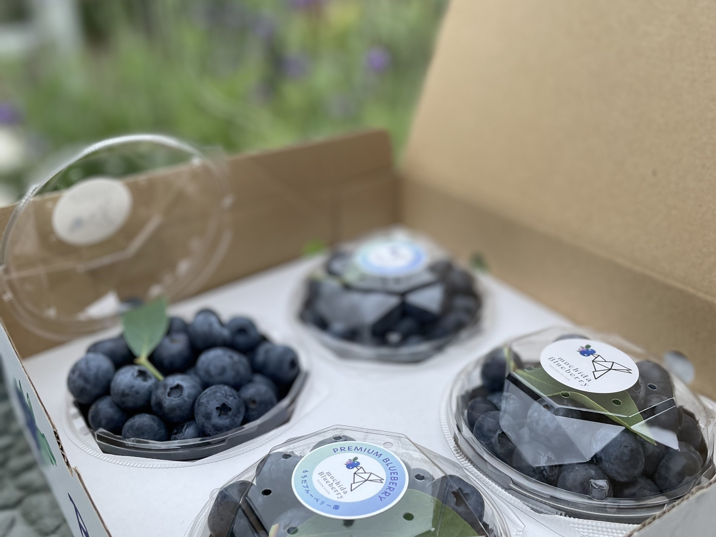 cb7cf6e991b7054b0d3737319b56b6