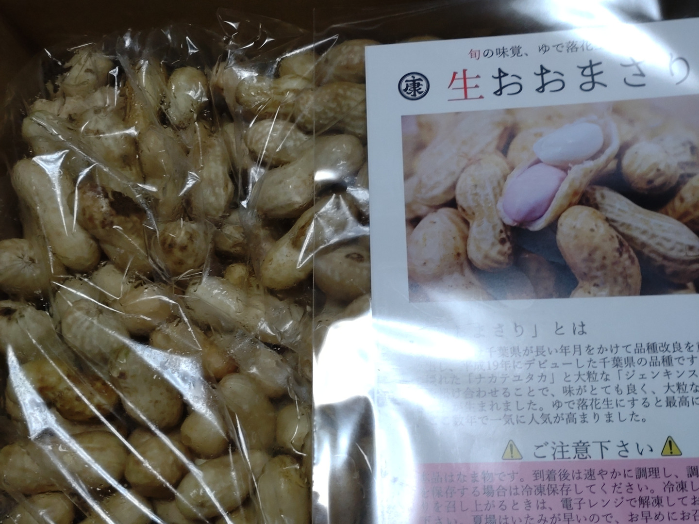 旬物】ぷりぷり大粒！千葉県産おおまさり2kg 食べ応えバツグンの