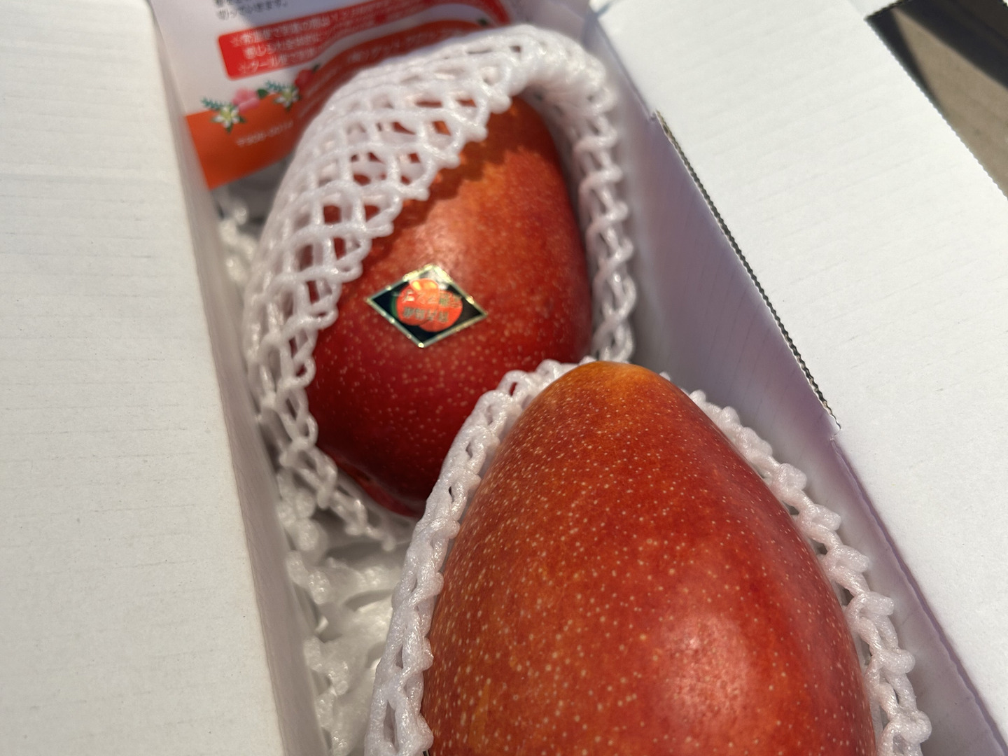数量限定☆当園人気NO.1☆宮古島産完熟マンゴー1kg(ご家庭用)2