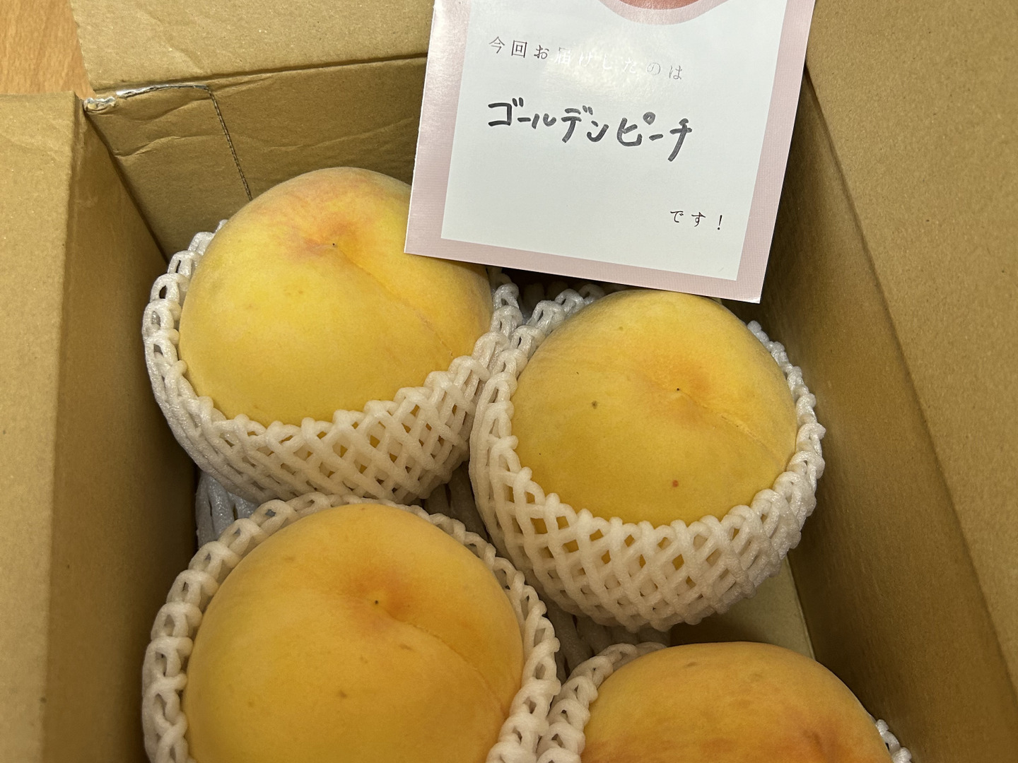 Bonita、黄金ピーチ４、５キロ家庭用 大人気！【まるでマンゴー!?】ゴールデンピーチ!!1.5kg：長野県