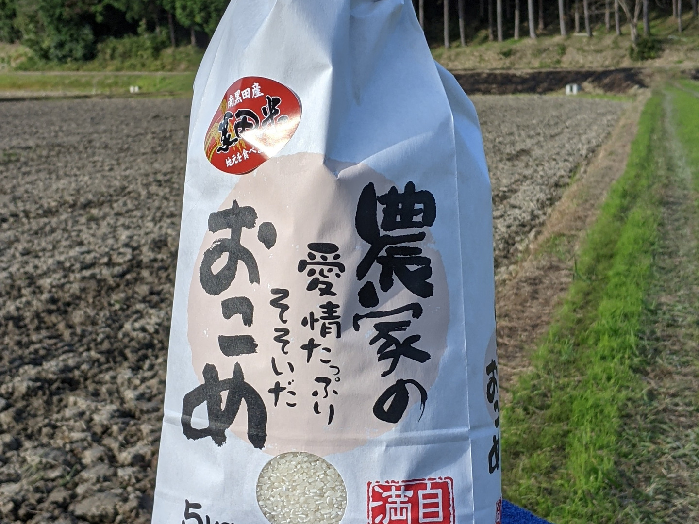 令和7年新米】 コシヒカリ3kg 農薬・化学肥料不使用米【三重県