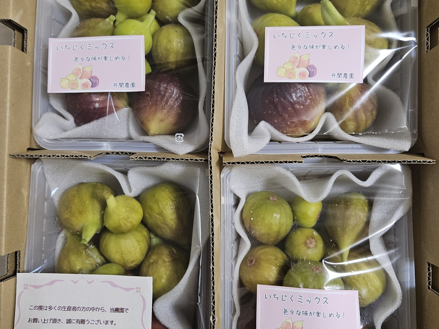 イチジク3種セット hanahirobaonline_saibaisetto-