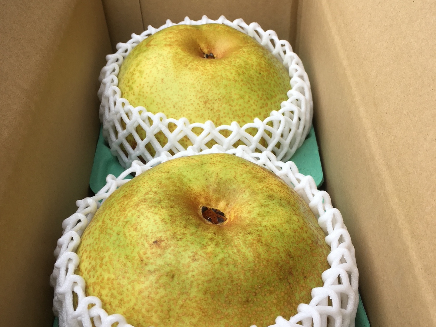 二箱　かおり　梨　バラ詰め　家庭用　産地直送 d3067246a33f01be993eae66817120