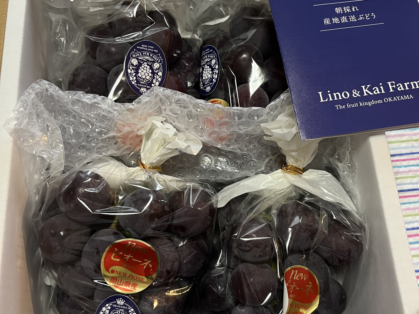 食べチョクアワード 4年連続受賞！】※ご家庭用 岡山の『ニュー