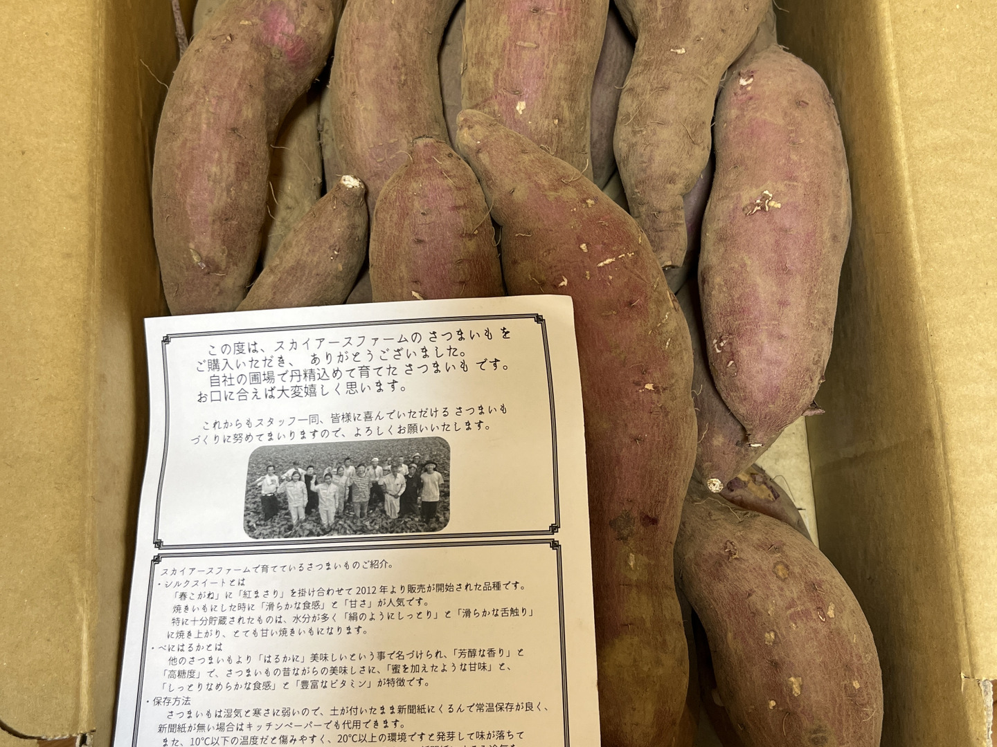 ララルルさん専用　千葉県産　シルクスイート　さつまいも　Mサイズ　約20.0㎏ シルクスイート さつまいも 約5kg 千葉県・茨城県産 お得用 家庭