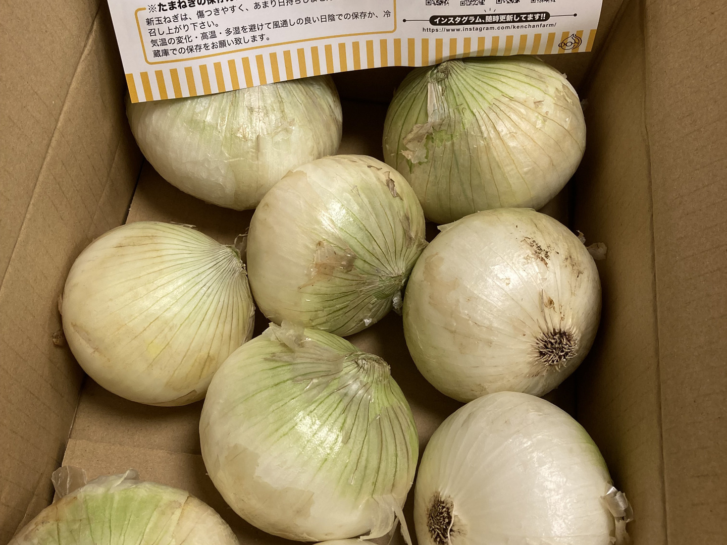 期間限定＞淡路島産規格外新玉ねぎ約5kg - Mサイズ（約15～20個