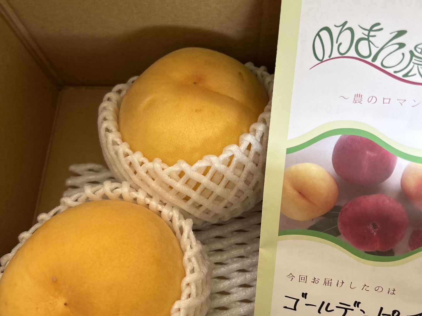 どんどん発送！大人気！【まるでマンゴー!?】ゴールデンピーチ!!1.5kg