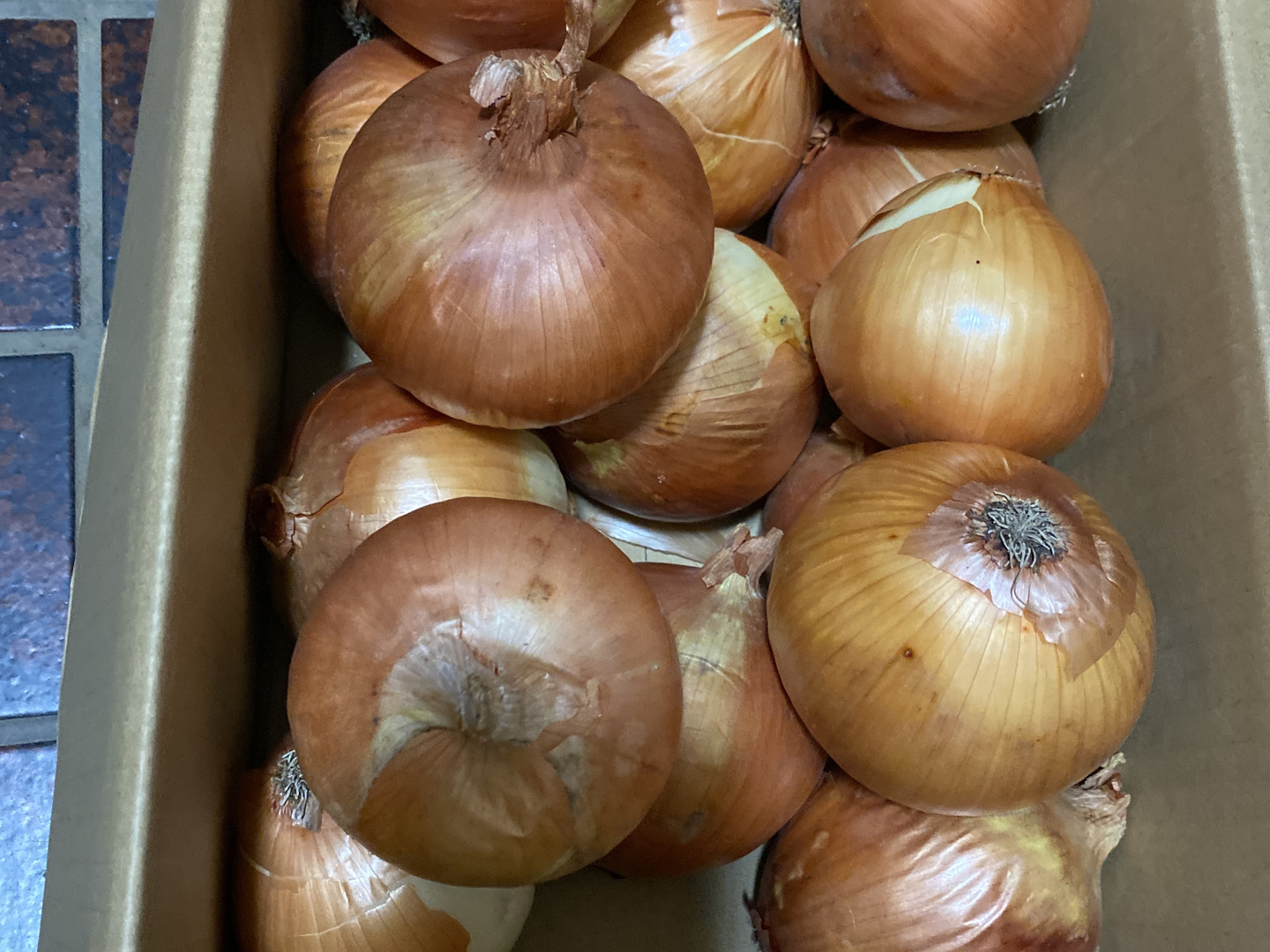 少し豊富な贈り物 少し訳あり「あま〜くて」美味しい淡路島玉ねぎ 5kg：兵庫県産の 野菜