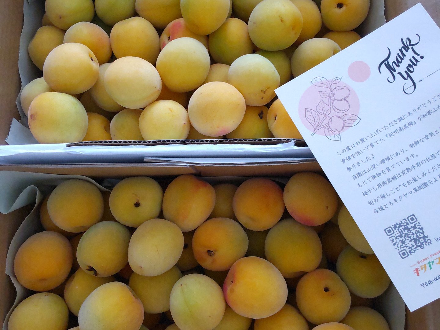 送料500円引き】 梅干しといえばコレ！ 和歌山県産 南高梅 青梅