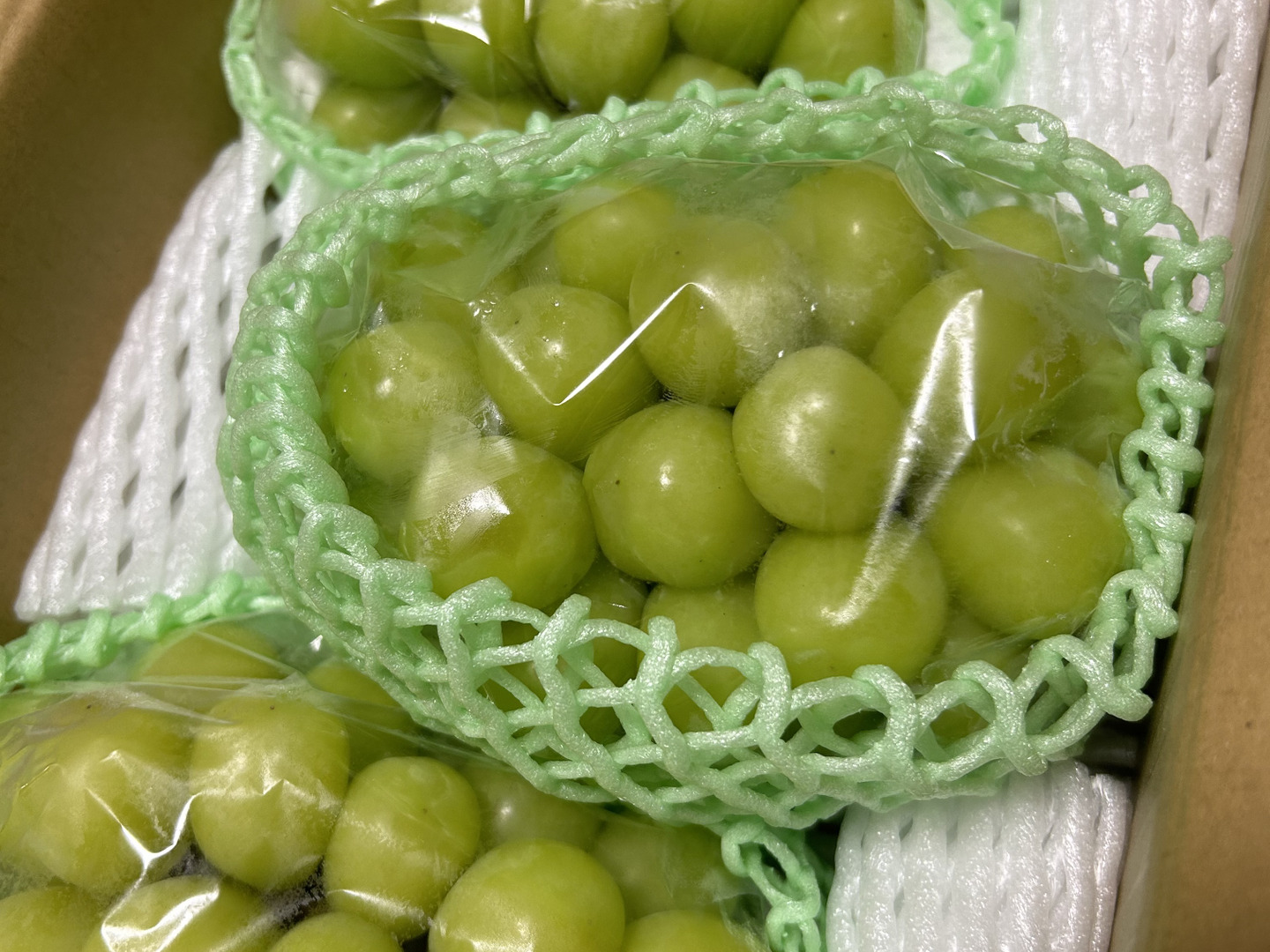 在庫処分セール 予約販売【国内大手百貨店取扱農園】☆シャインマスカット2kg 果物