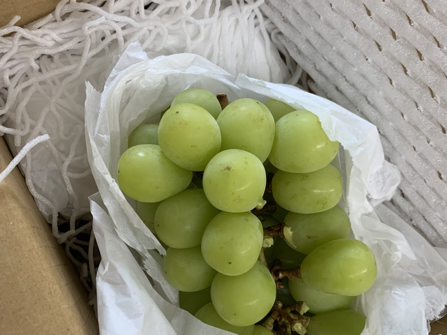 ◇10/16発送 朝採り農家直送 長野県産シャインマスカット5kg房数おまかせ