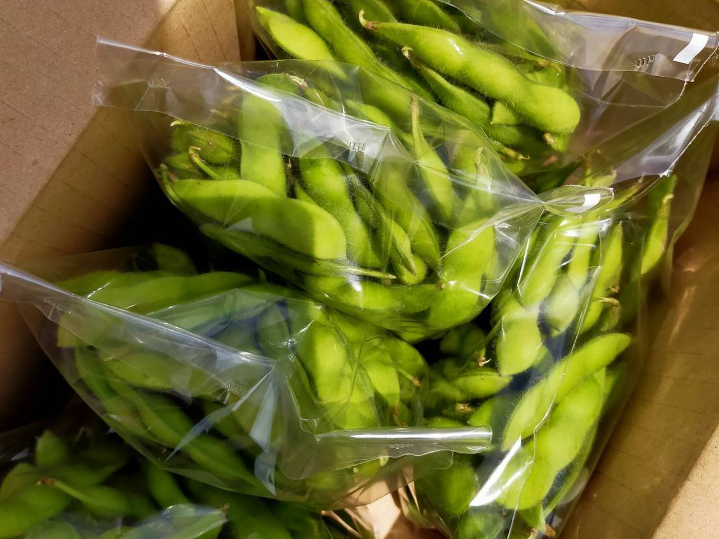 有機JAS】朝採り枝豆 1.5kg：茨城県産の神風香｜食べチョク｜産地
