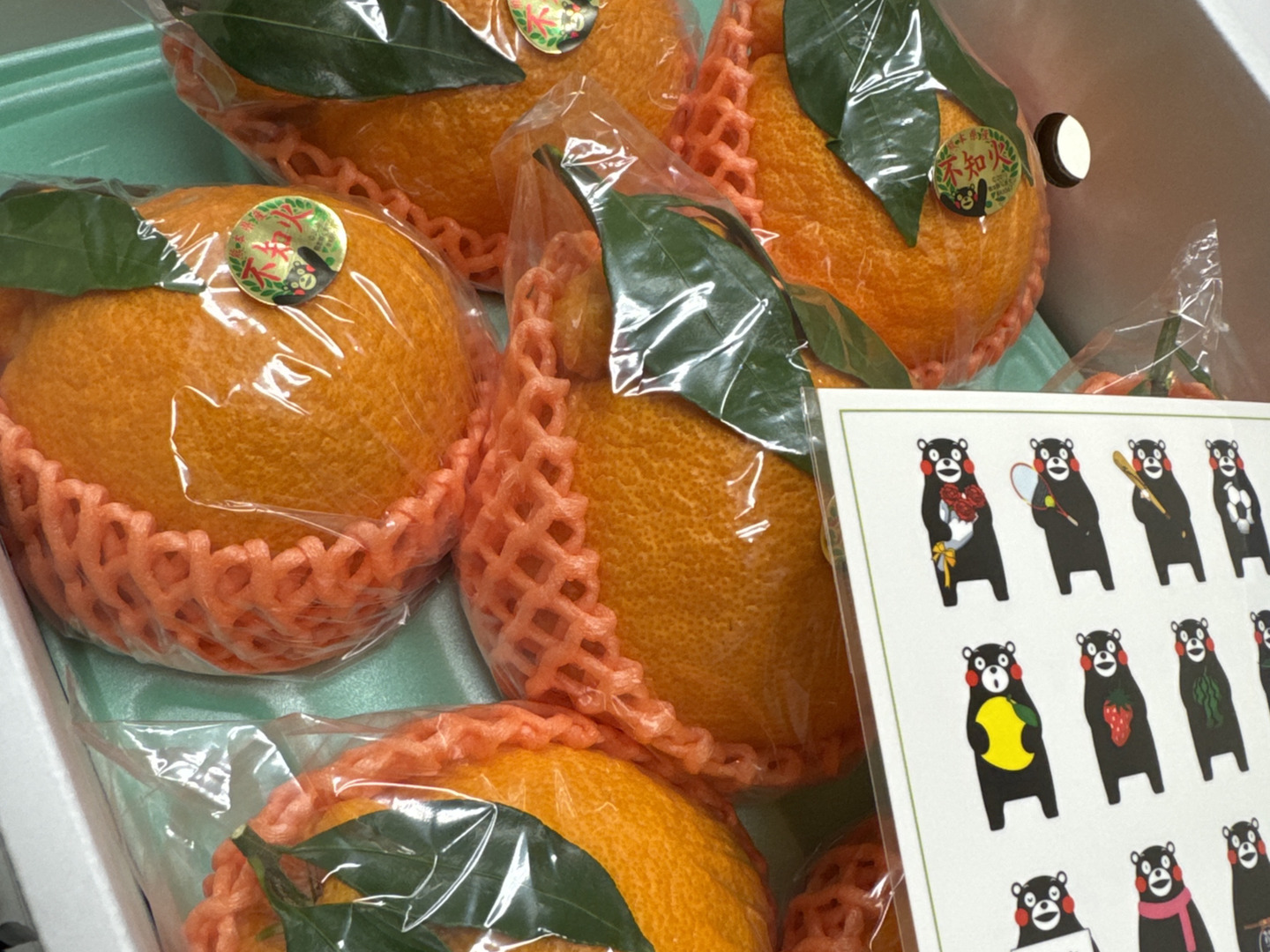 大人気の葉付き不知火2、5k(5〜10玉)ハウス栽培品❗️50箱限定と