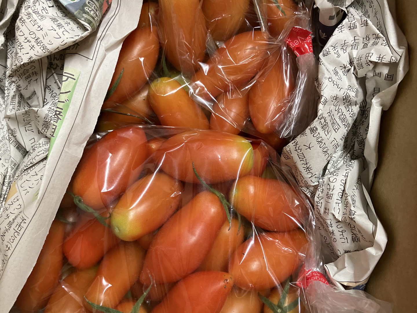 朝市限定】【絶品‼️】皮がパリッとジューシーなアイコ（1キロ