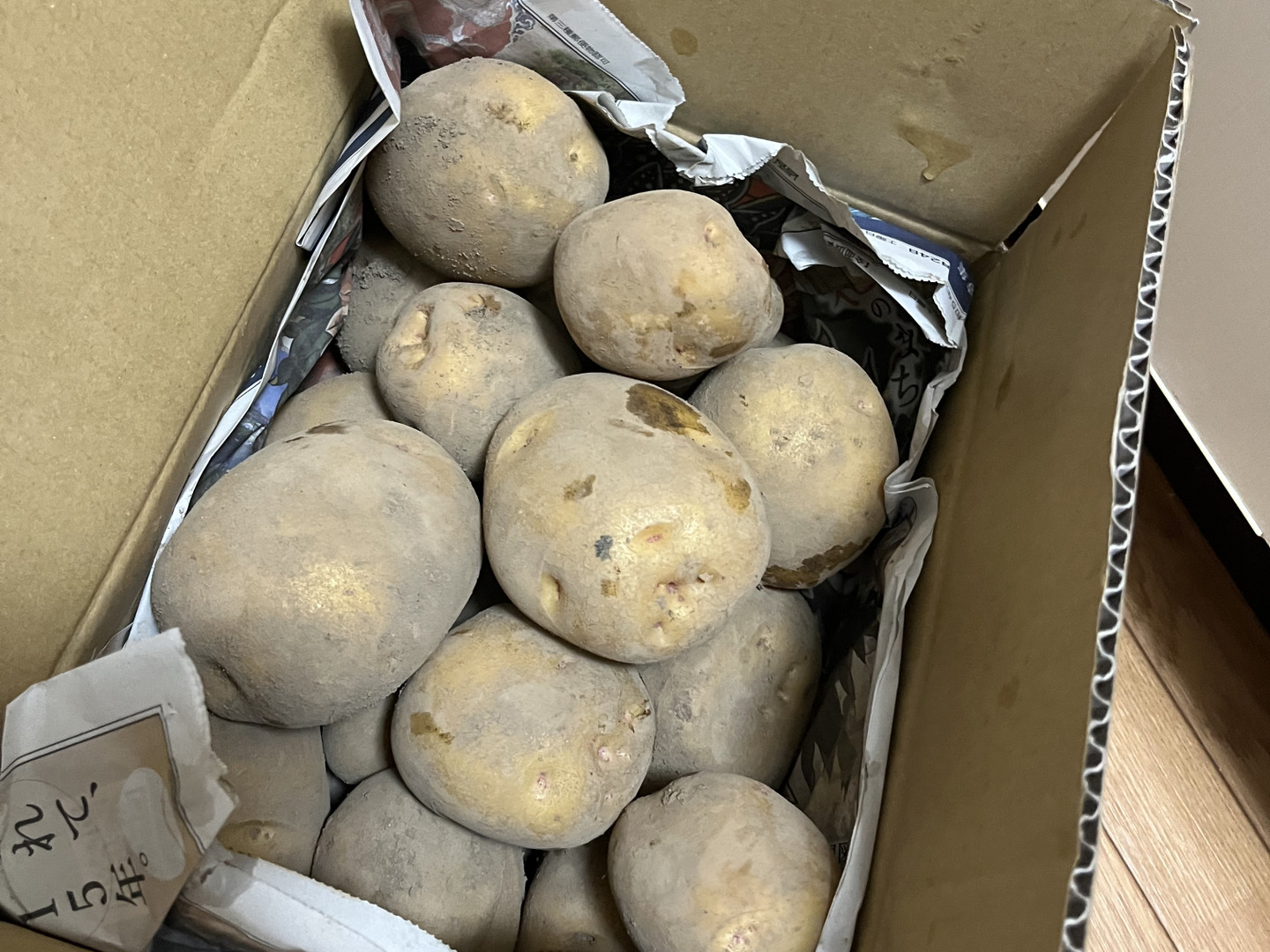 徳島産新じゃがいもMサイズキタアカリ20キロ② imgrc0073000813.jpg