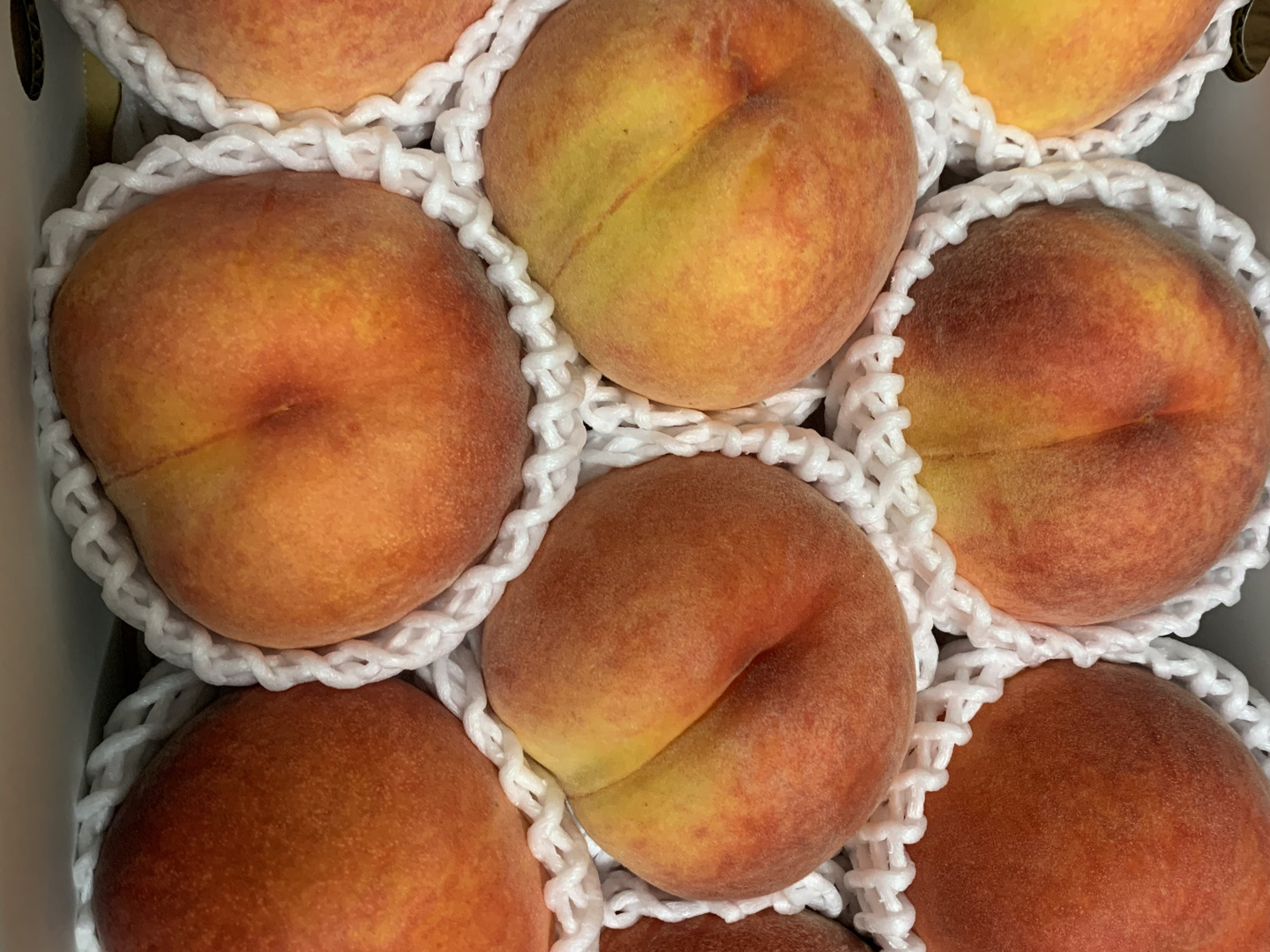 信州産　黄金桃　家庭用　10kg 8月中旬〜下旬 訳あり 黄金桃 長野県産 10キロ : Su-eat Farm