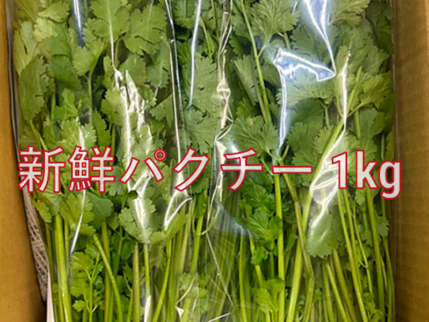 期間限定　パクチー　香菜　新鮮野菜　業務用　大量　卸し　旬野菜　6kg 期間限定 パクチー 香菜 新鮮野菜 業務用 大量 卸し 旬野菜