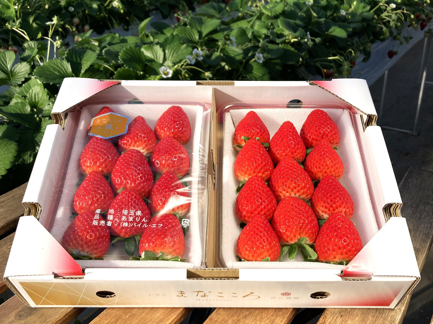 商品画像：希少あまりん】小粒たっぷり2Kg 朝採れ🍓 | 果物/いちご 産直 3