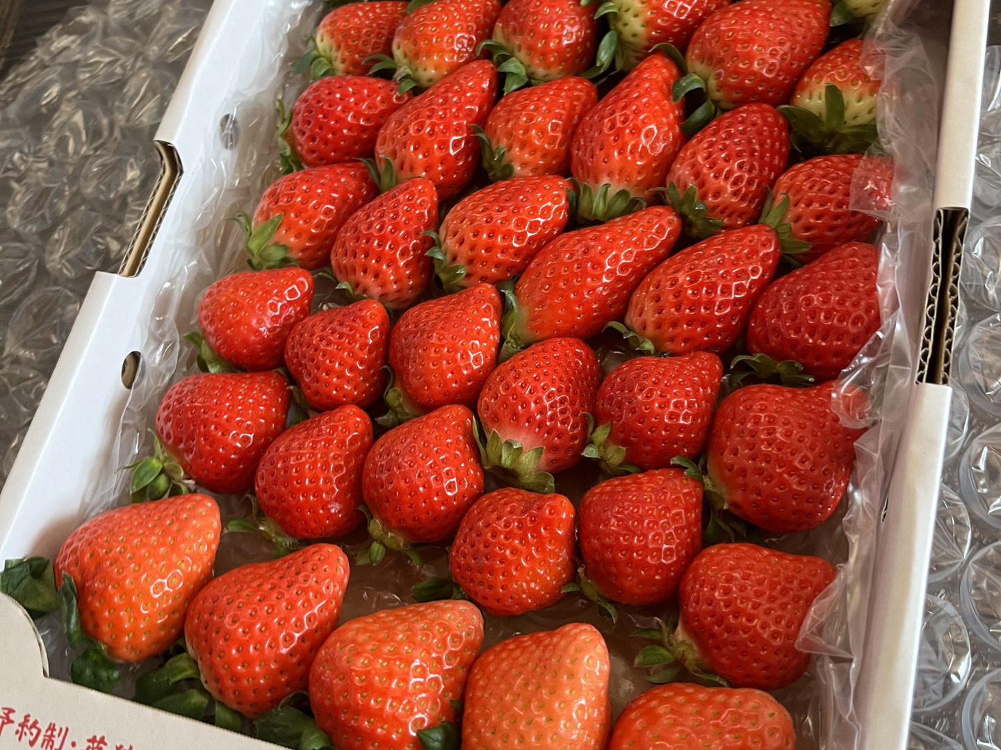 みんなで食べ比べ】3品種以上の朝採り朝採り完熟苺（1kg