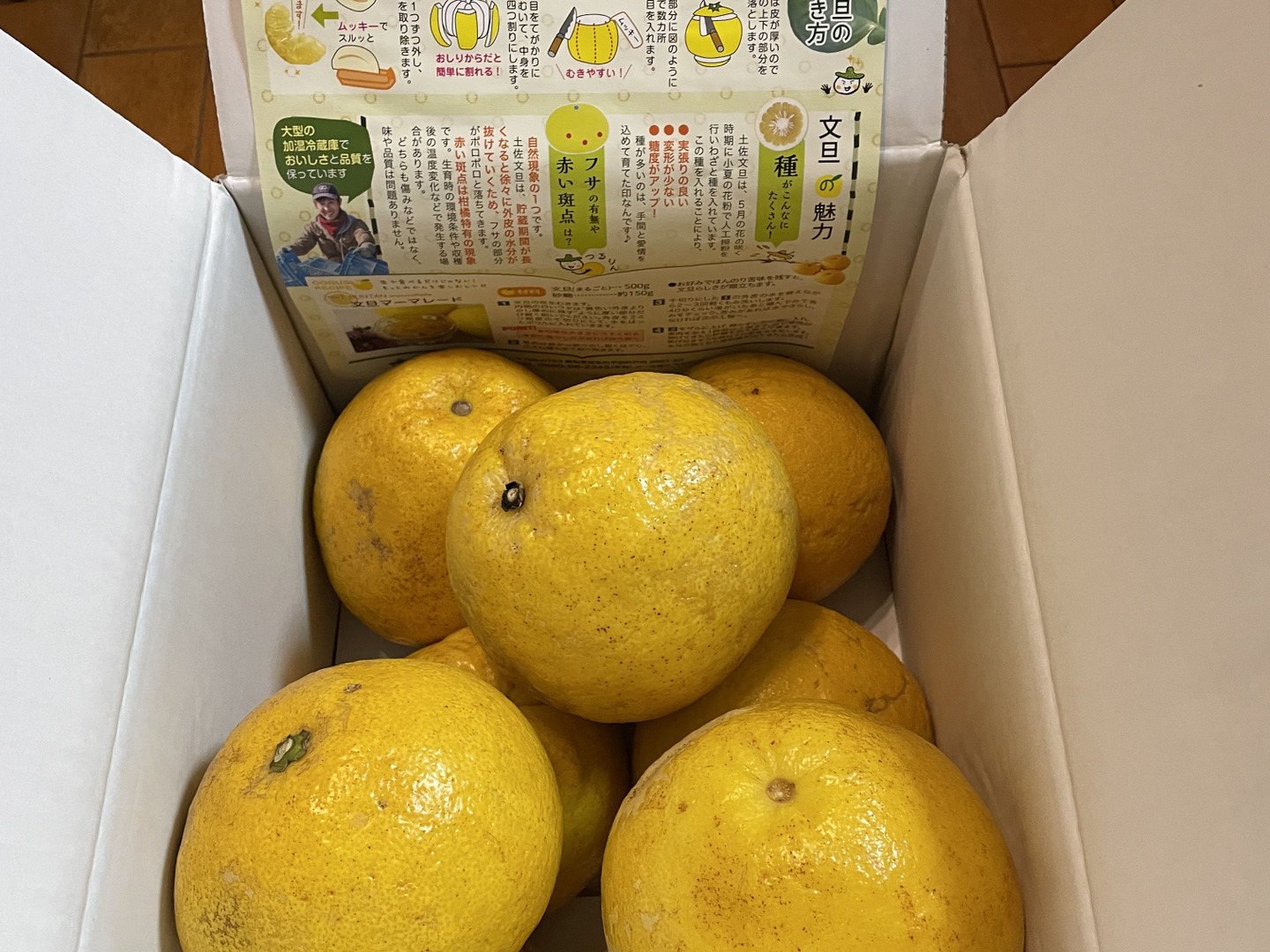 2027年予約 【土佐文旦訳あり5kg】 濃厚でジューシー！潮風を浴びた