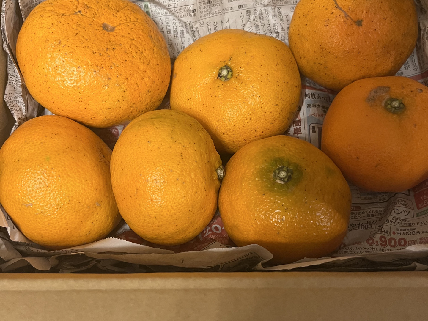 希少稀な 早割】【甘みぎっっしり！】シャキシャキ甘い♪♪ 甘平 （ご家庭 果物