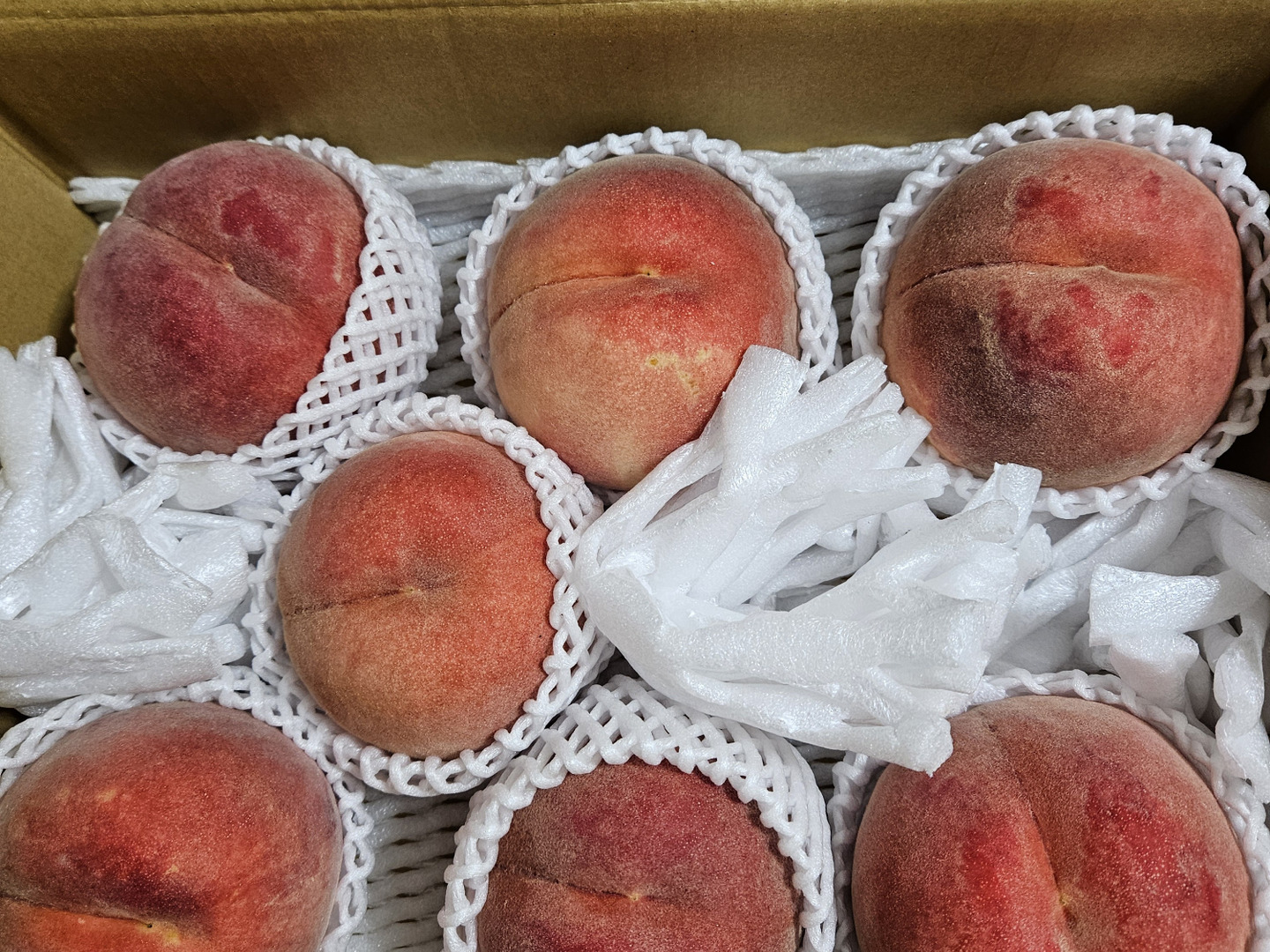 新鮮 桃 5キロ 硬め 品種指定可能🙆】【ご家庭用桃】品種おまかせ🍑2キロ🍑【届いた