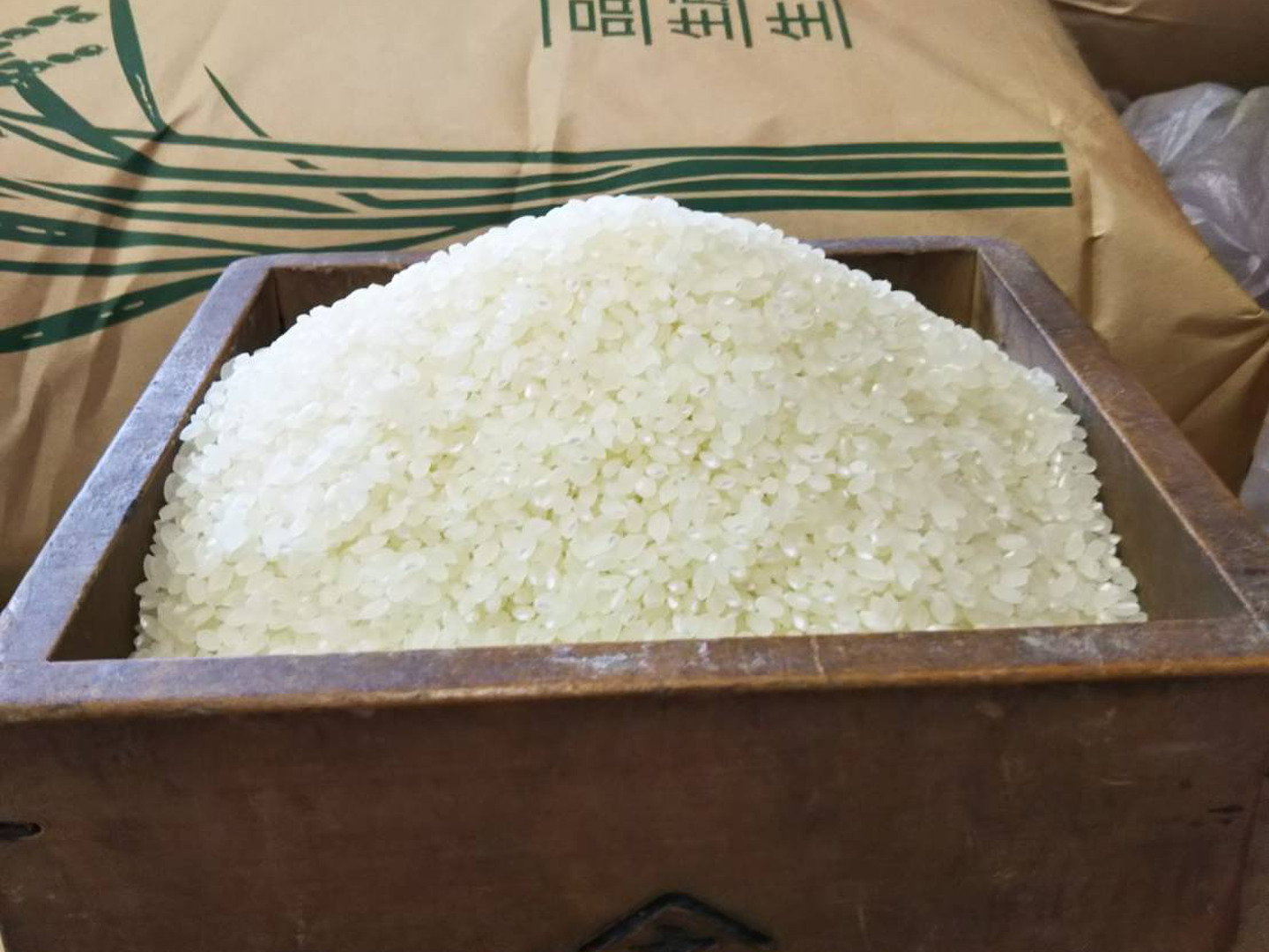 新米】秋田産 令和6年度産あきたこまち 白米 10kg：秋田県産のお