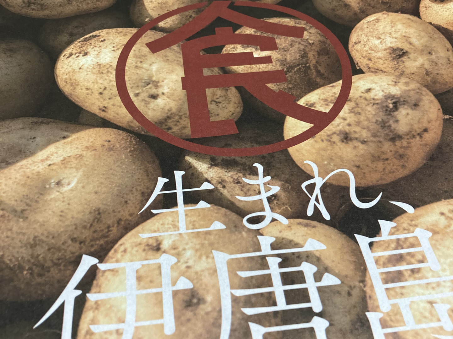 長島産赤土馬鈴薯5kg】新じゃが！掘りたてをご家庭に届けます