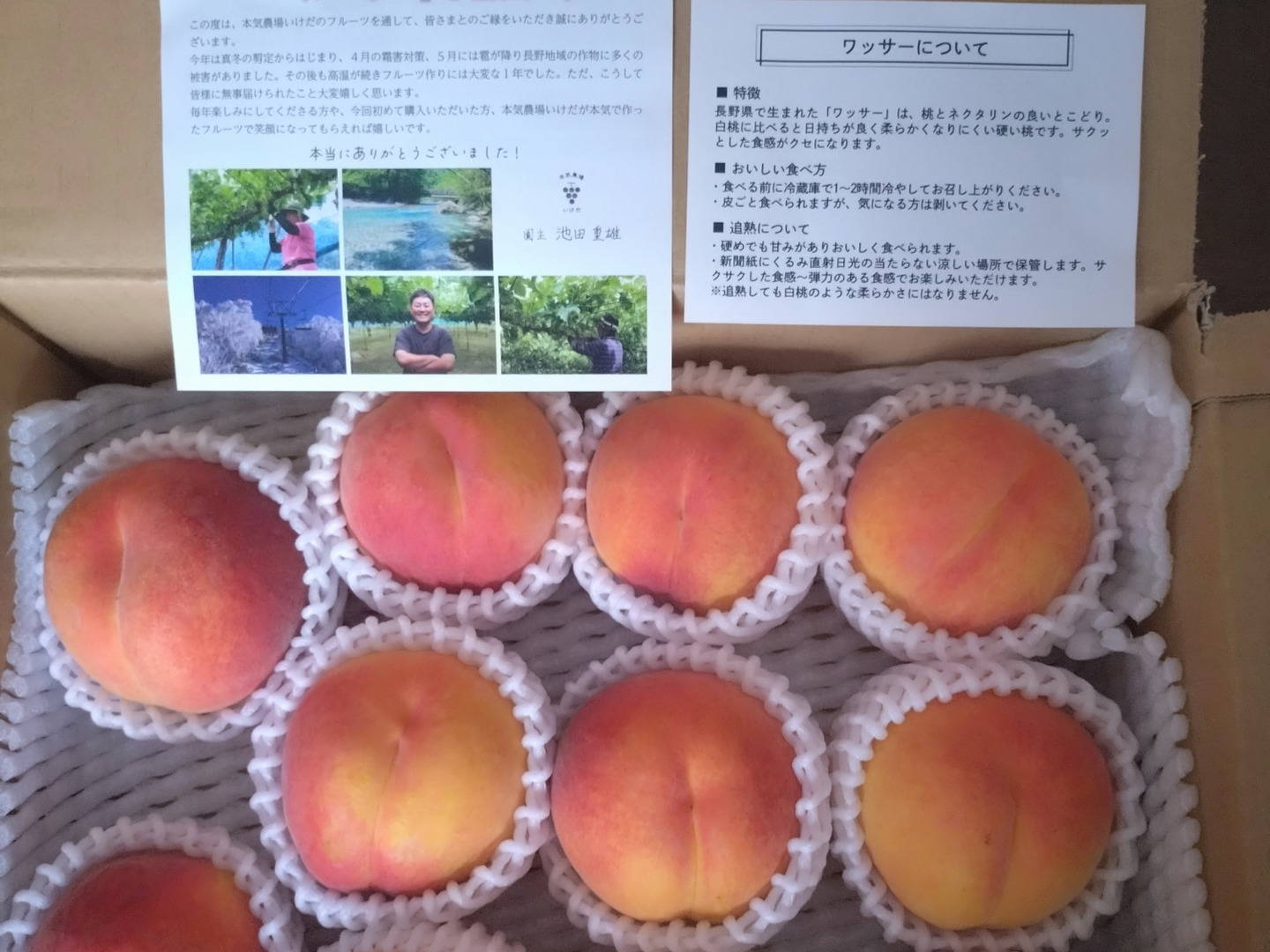 300円引き】クセになる食感！早生ワッサー 家庭用 約2.4kg（10