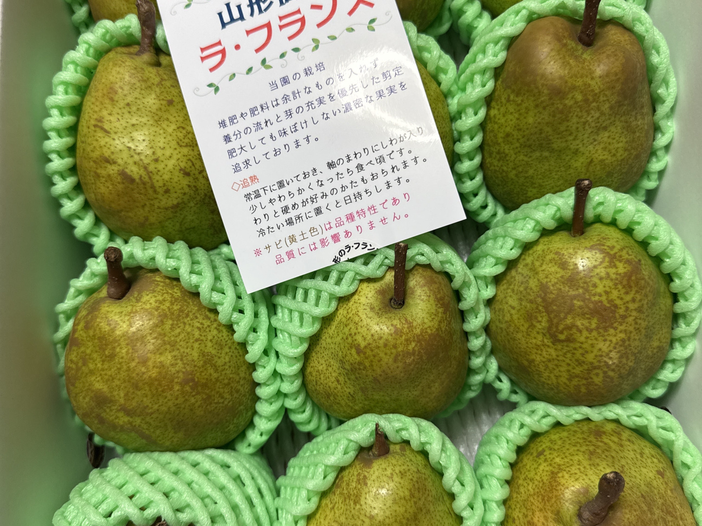 ラ・フランス ３キロ 山形県産ラフランス3kg （3L前後） やまがた朝日屋
