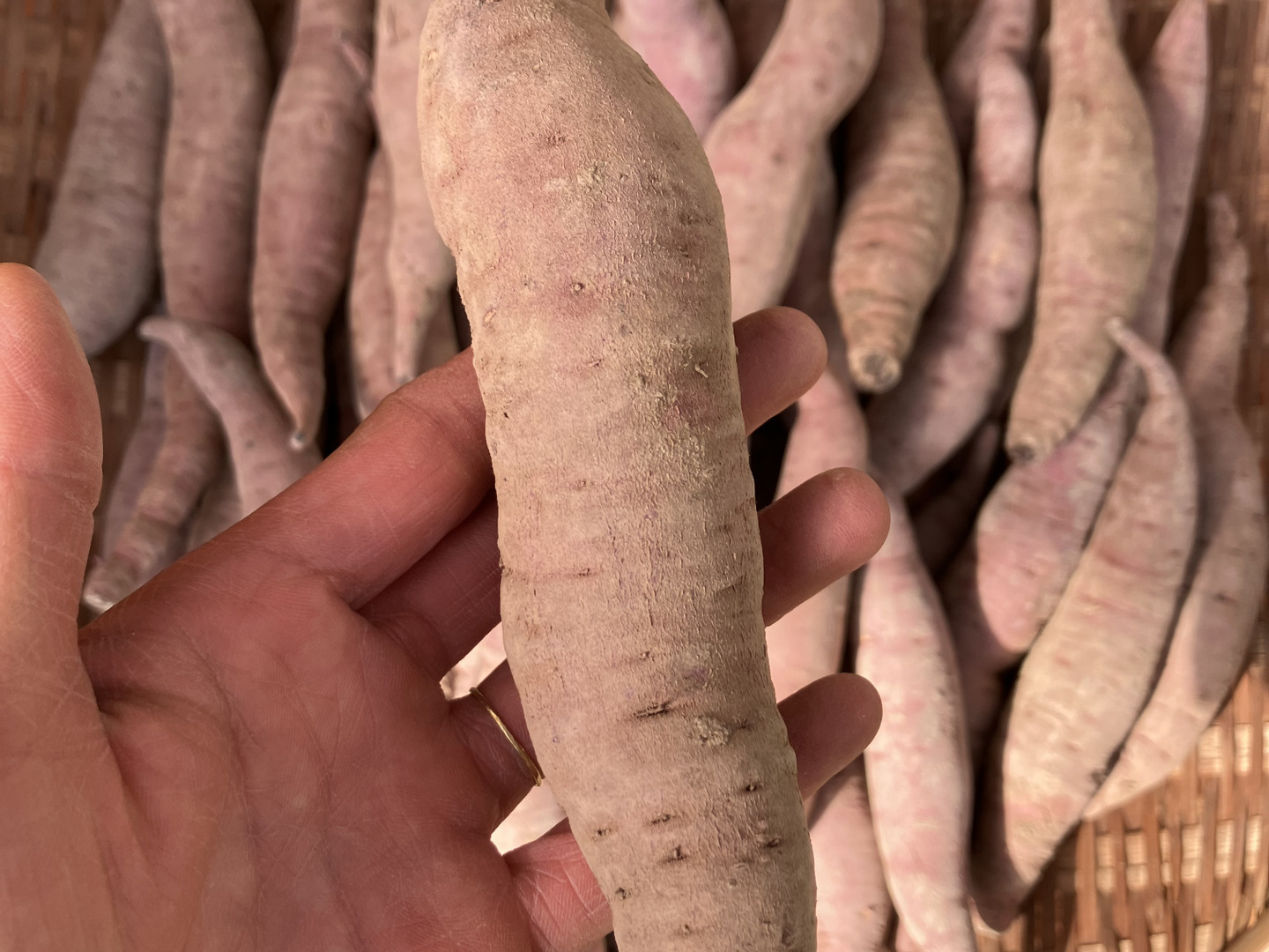 はるか 箱込10kg（内容量約9.2kg） 秀優サイズミックス 和歌山県
