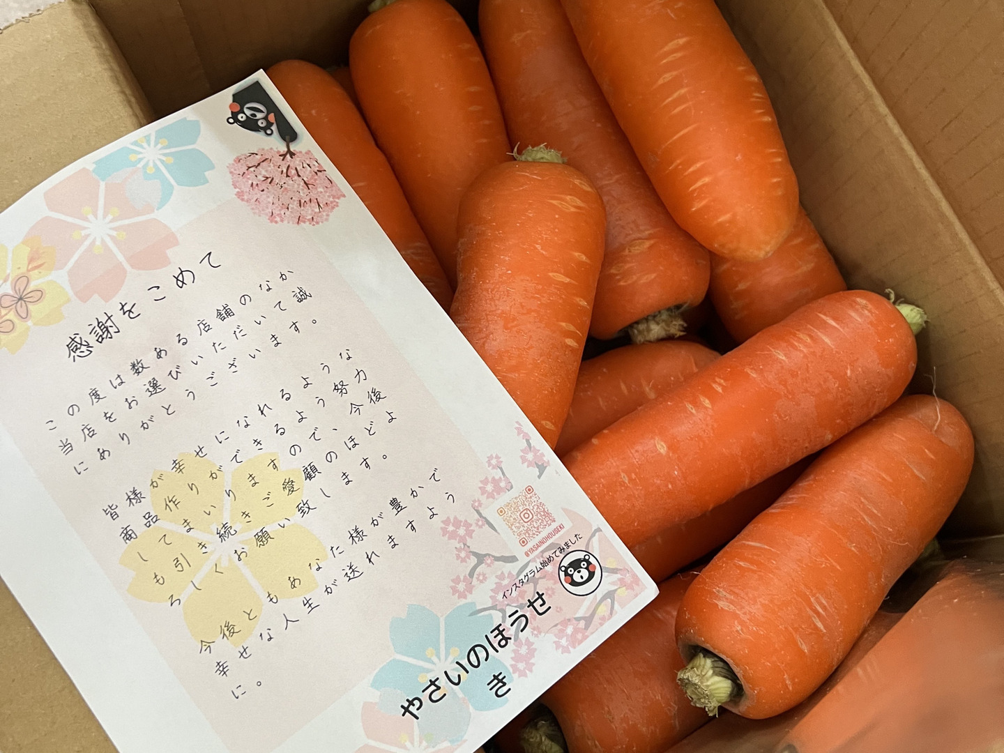 熊本県芦北産甘いフルーツにんじん【美日姫 5キロ】農薬不使用