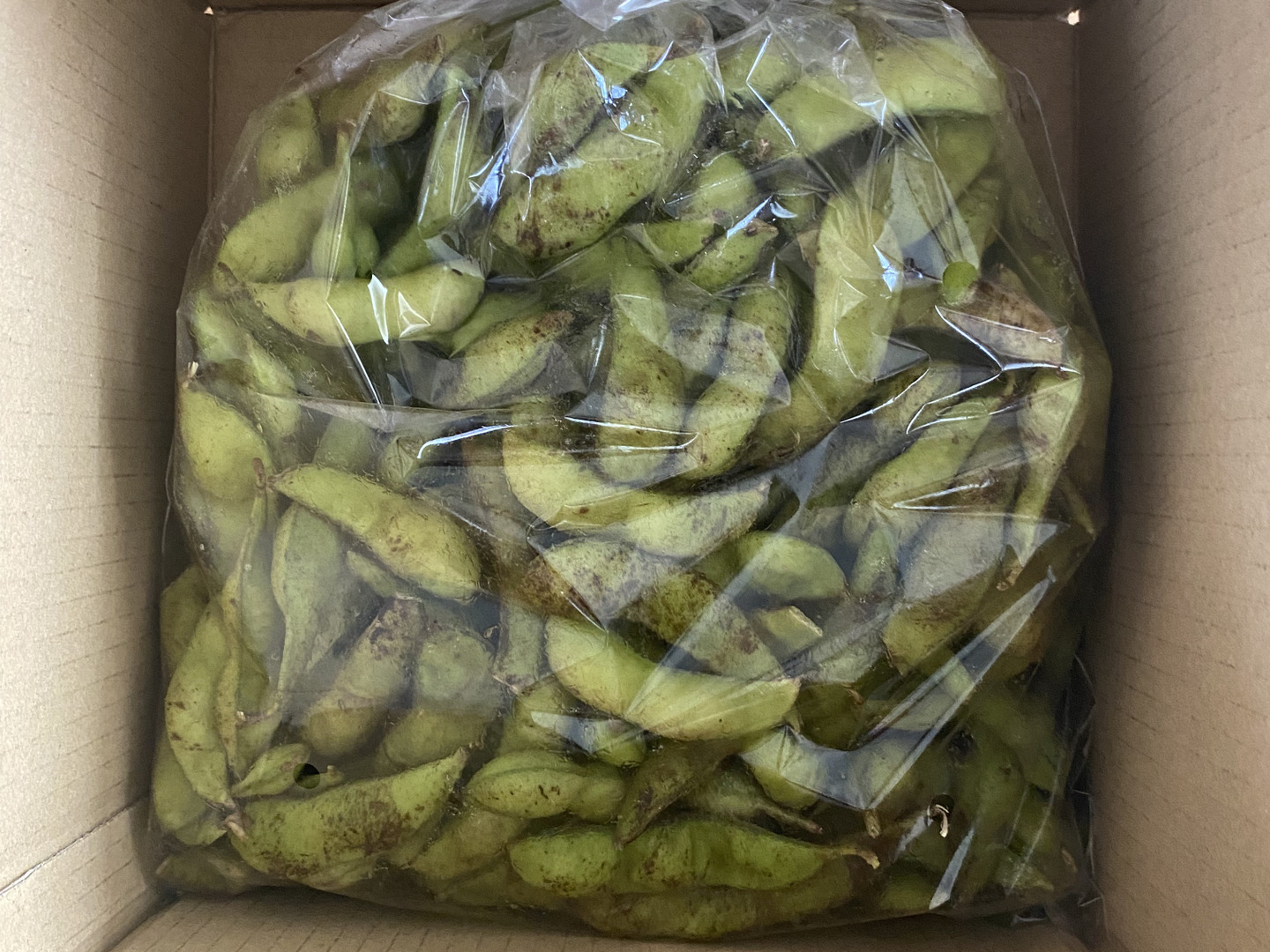 丹波篠山、口坂本の黒豆（黒枝豆）さや1kg 【数量限定、2週間