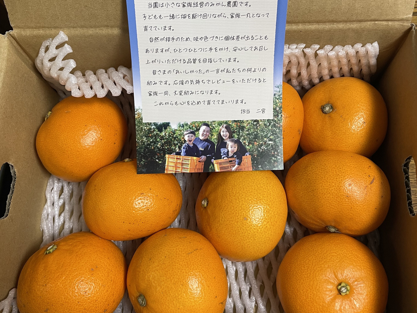 せとか20㎏(家庭用)mama✩ 柑橘の大トロ！ せとか（ご家庭用・2㎏）：愛媛県産のみかん・柑橘類
