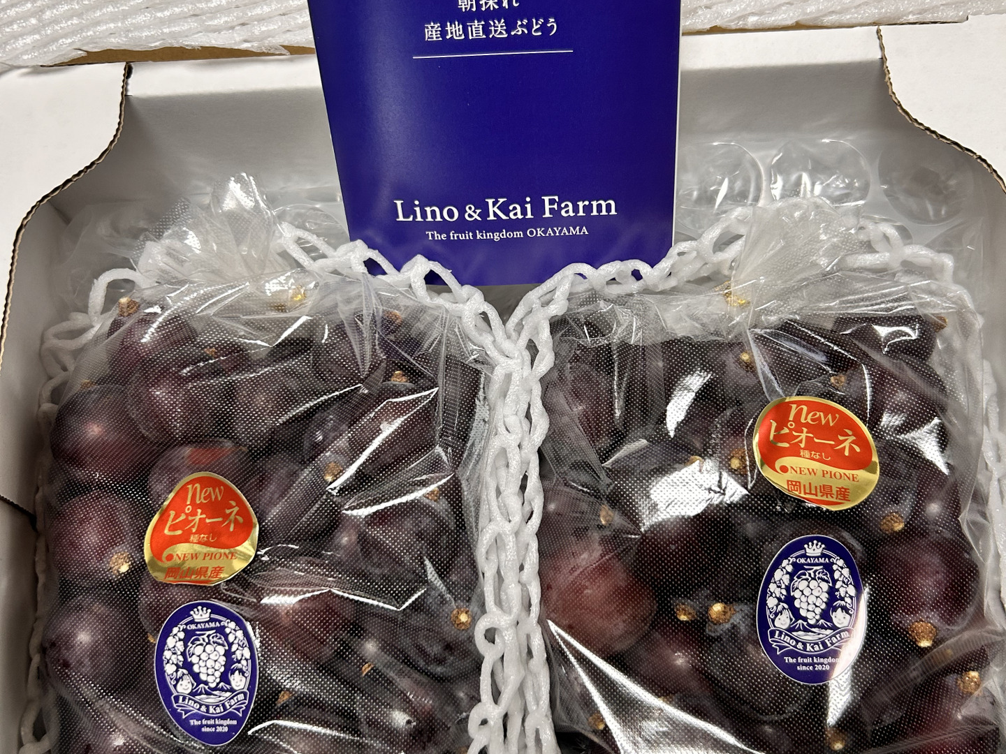 ご奉仕価格 即出荷 粒カット】 岡山の『ニューピオーネ
