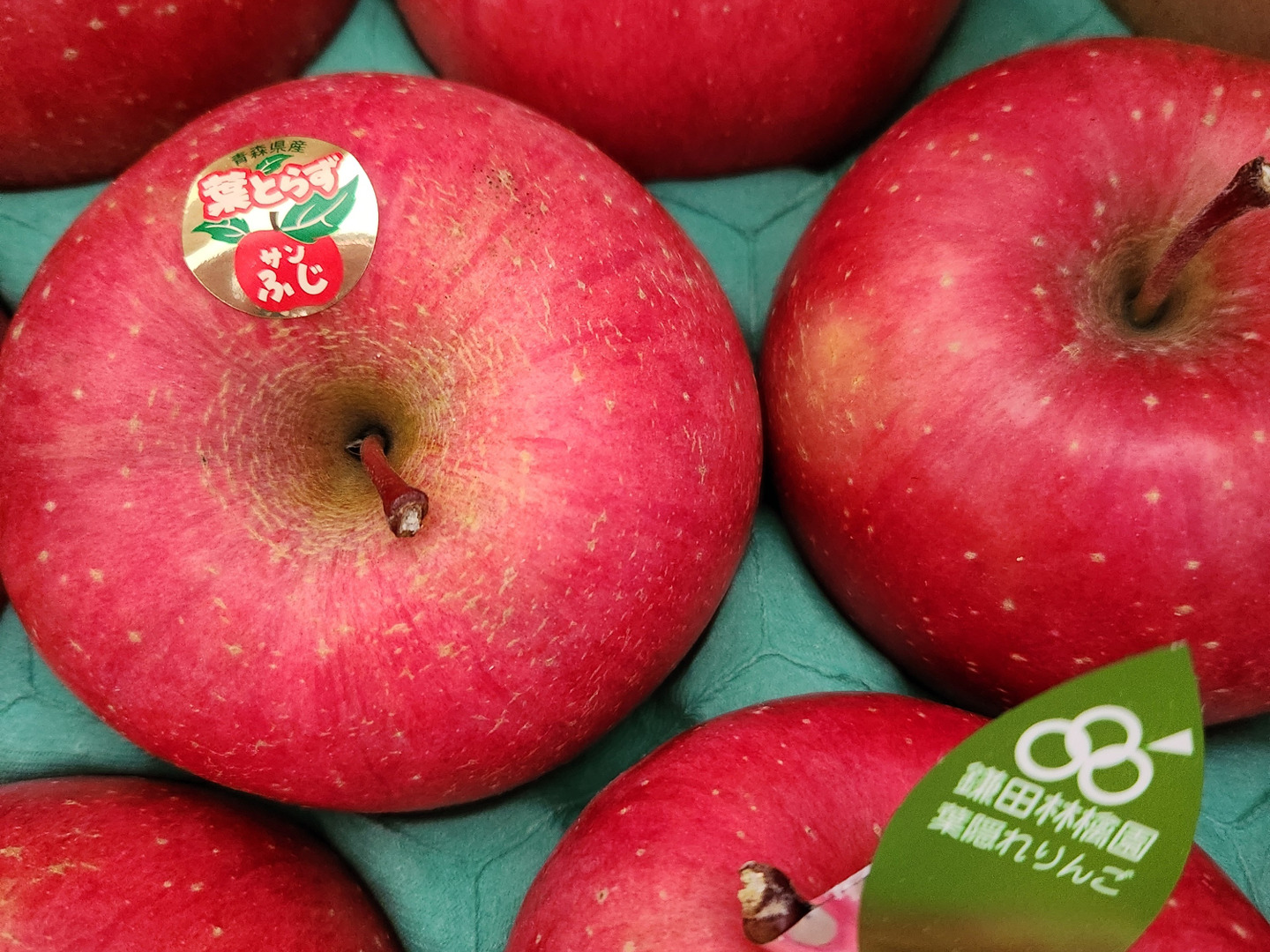 個性派りんご🍎葉隠れサンふじ 冬ギフトにもどうぞ（9個～12個
