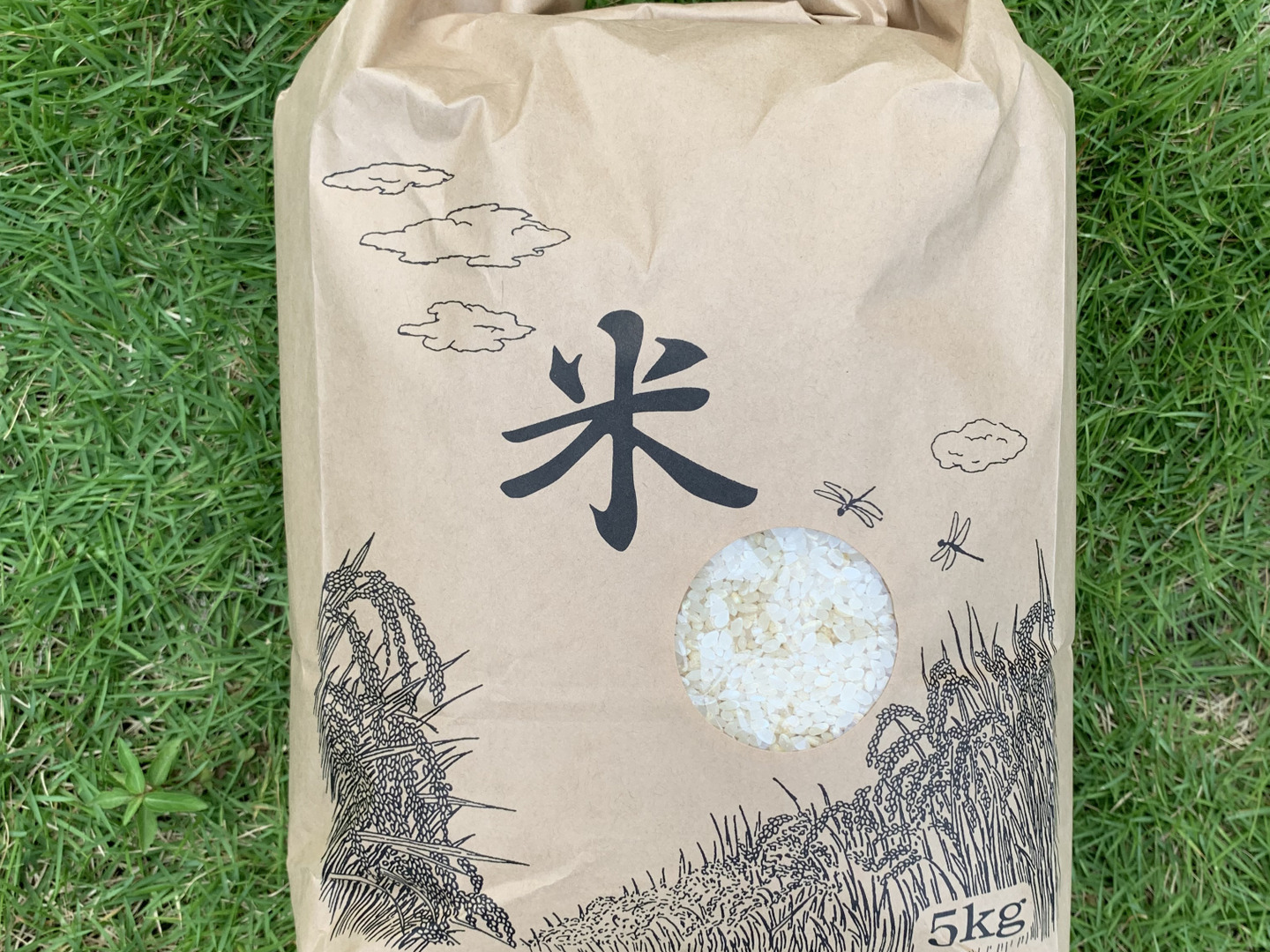 先着100名様限定！【令和7年】高知県産コシヒカリ玄米・白米(ご家庭用