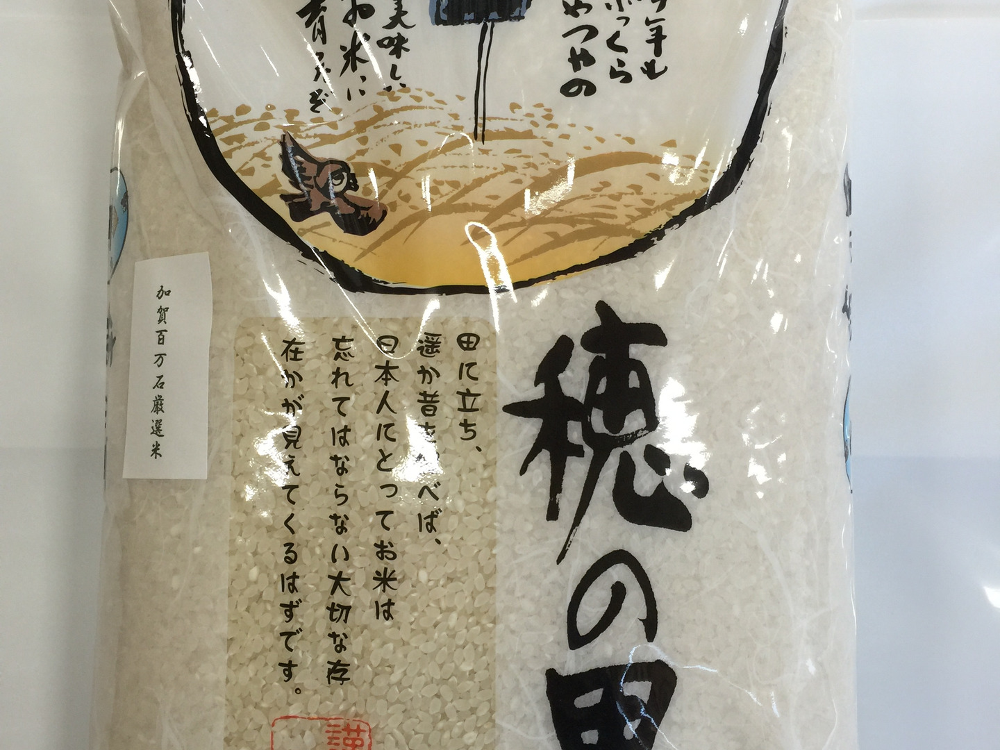 コシヒカリ 石川県産 R6年 新米30キロを精米済み