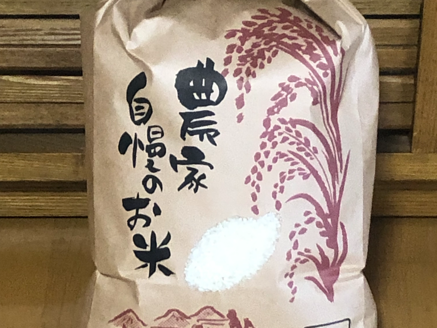 米 石川県産 10kg精米済み ゆめみづほ 米 10キロ 令和7年産 新米 精米 北陸・石川県産 10kg