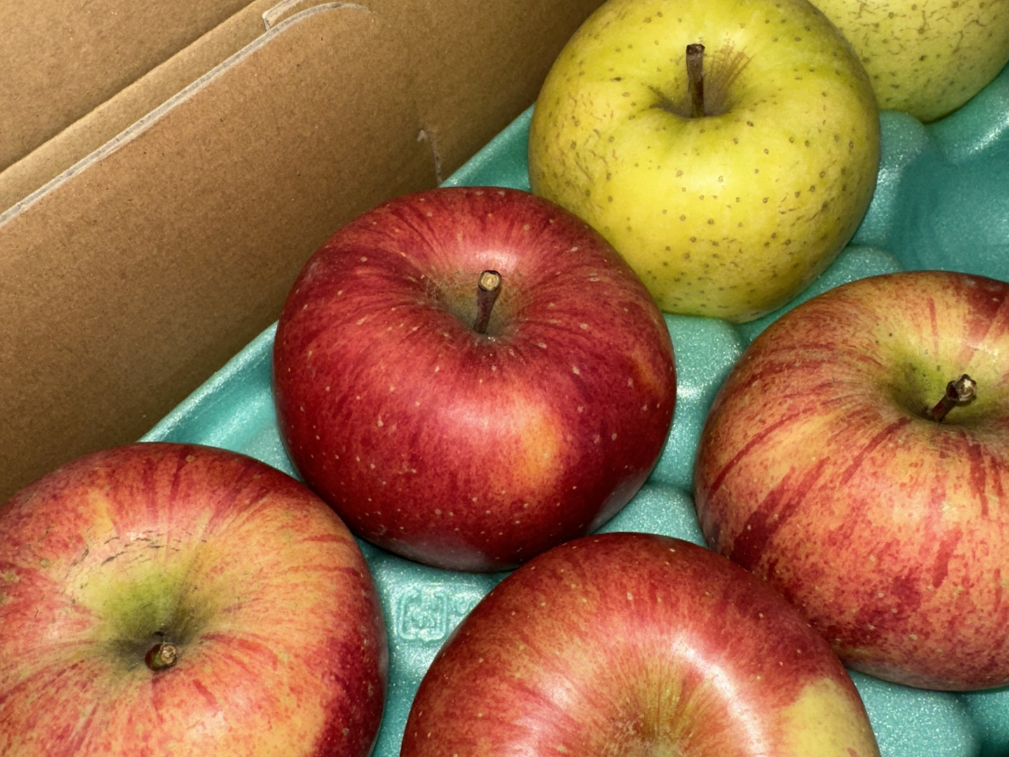 特別栽培りんご】サンふじ🍎🍏王林セット3kg キズなし良品🎁 低