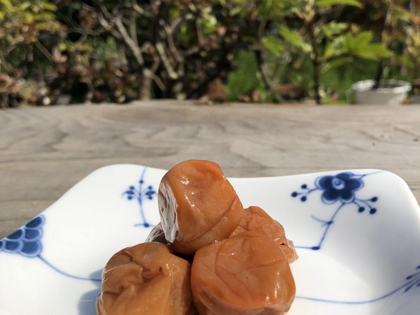いい塩梅！昔ながらの 無添加 梅干し 300g 埼玉県 越生町産