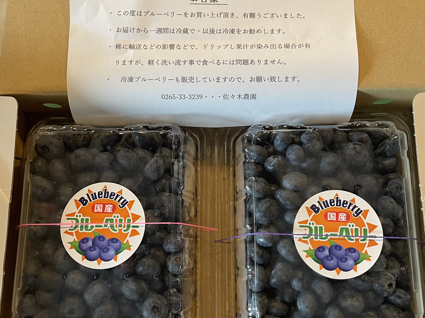 南信州産ブルーベリー 生果実 1kg 【夏ギフト】農家直送だから出来る
