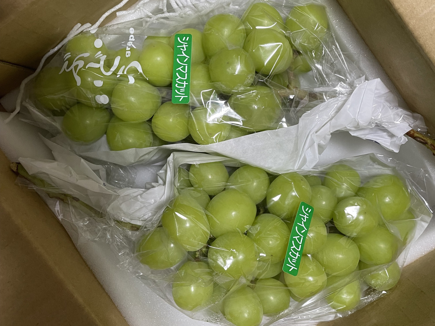 高価値 人気No.1】#勝沼ぶどう郷産 パリッと食べられる『シャイン フルーツ